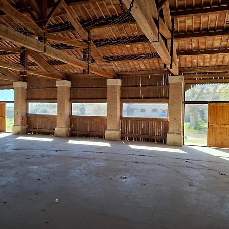 Mas De Bonnafoux Villa Beaucaire  Exteriör bild